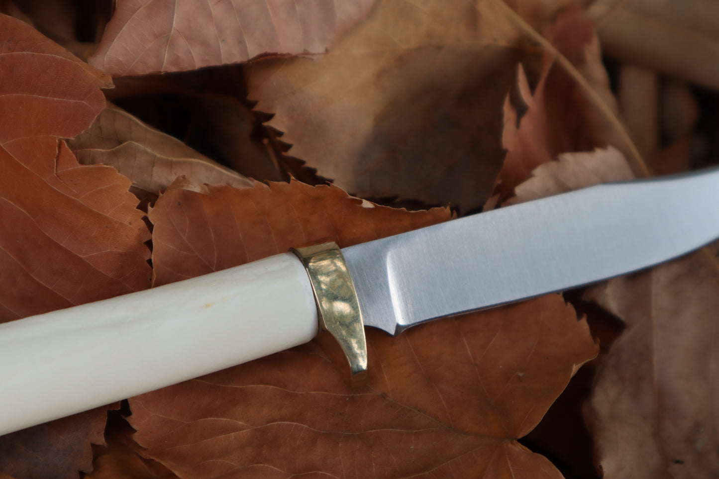 Bobcat Femur Knife