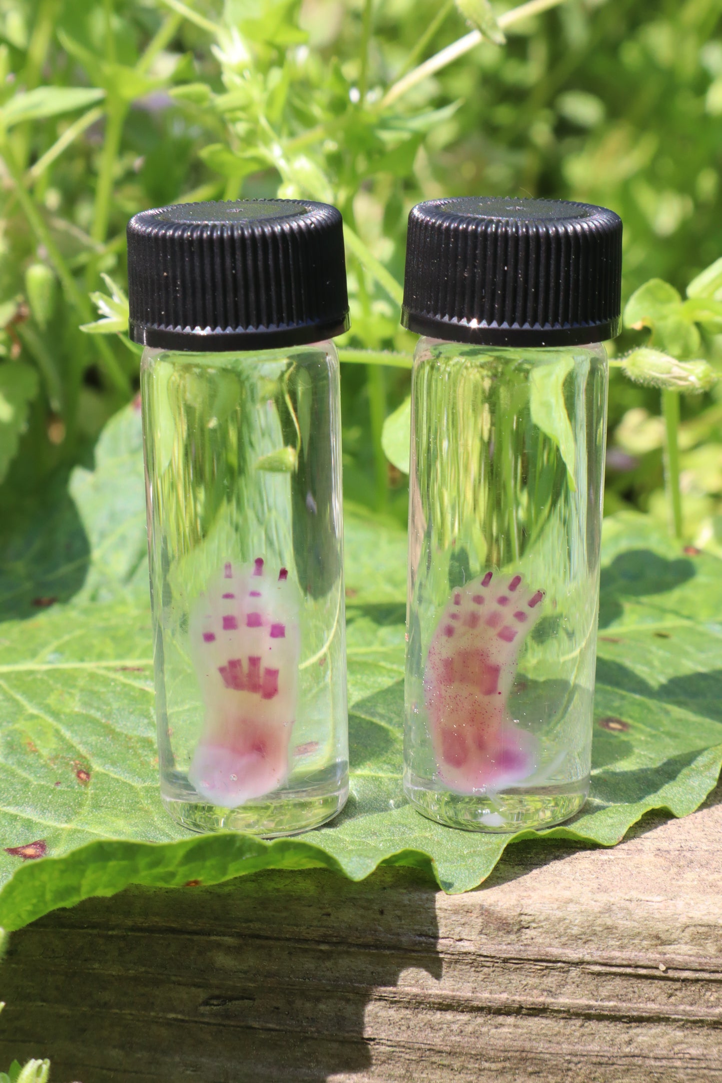 Diaphonized Lucky Rabbit Paw