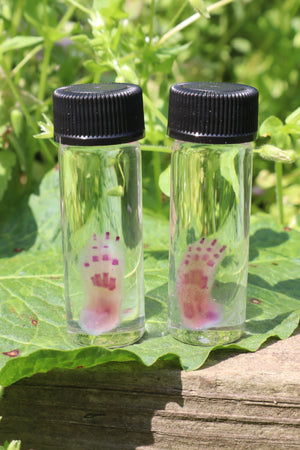 Diaphonized Lucky Rabbit Paw