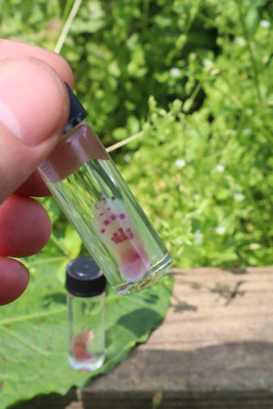Diaphonized Lucky Rabbit Paw