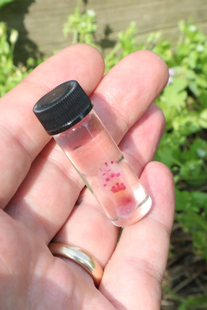 Diaphonized Lucky Rabbit Paw