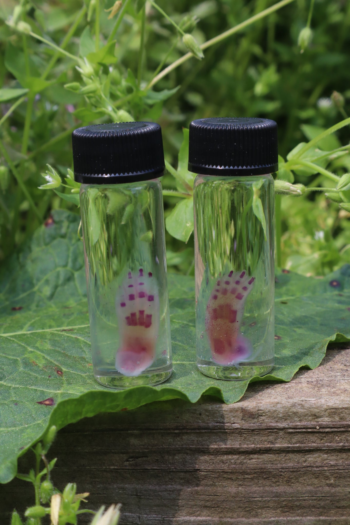 Diaphonized Lucky Rabbit Paw