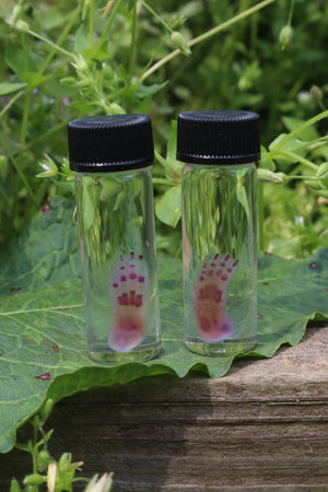 Diaphonized Lucky Rabbit Paw