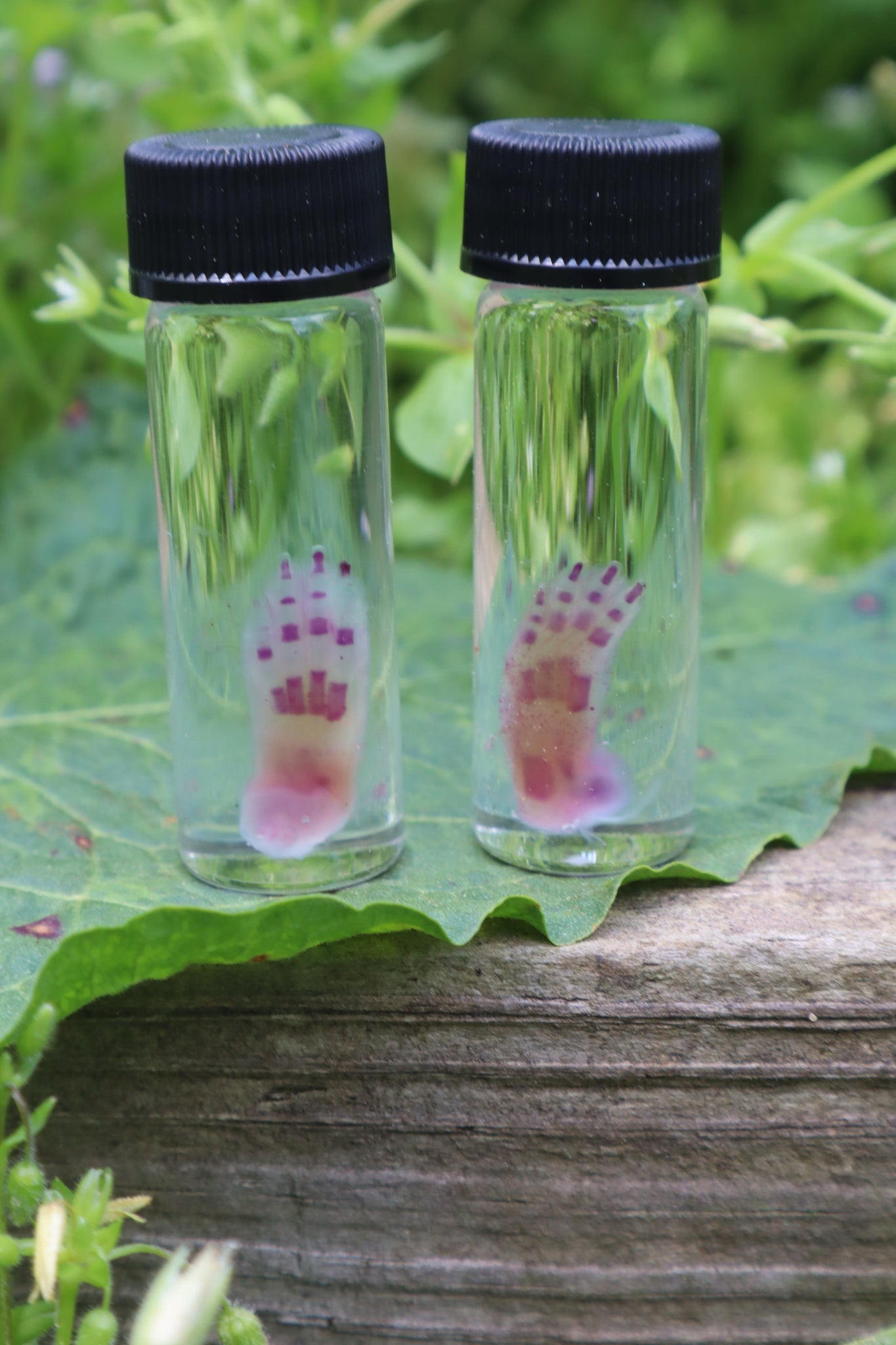 Fake Rabbit Paws Diaphonized Lucky Rabbit Paw – Freyja's Forest