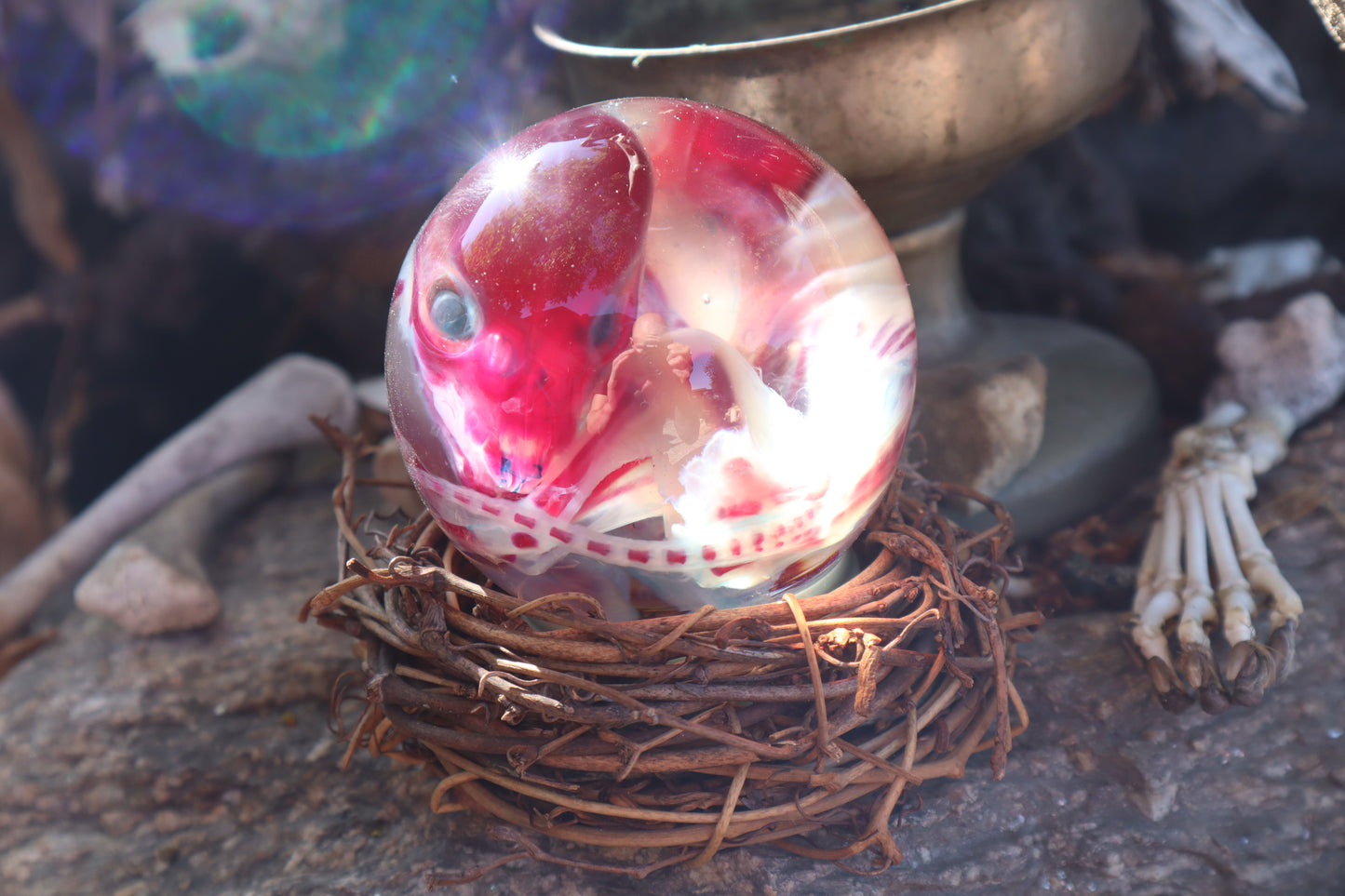 Diaphonized Red Fox Crystal Ball