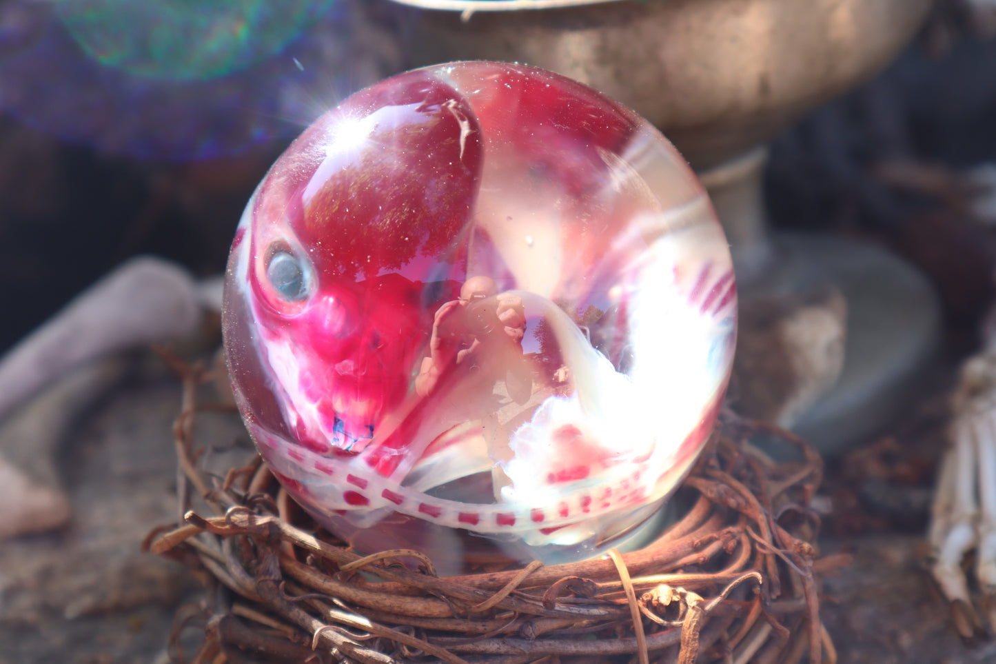 Diaphonized Red Fox Crystal Ball