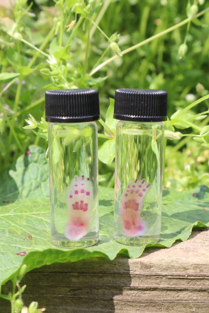 Diaphonized Lucky Rabbit Paw