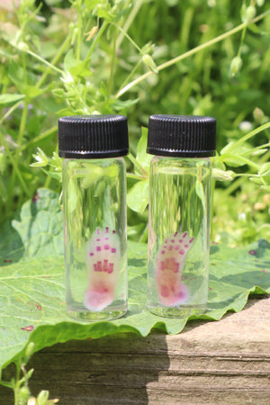 Diaphonized Lucky Rabbit Paw