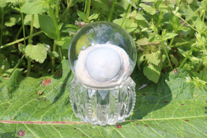 Bobcat Eyeball Crystal Ball