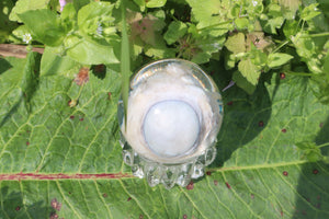 Bobcat Eyeball Crystal Ball