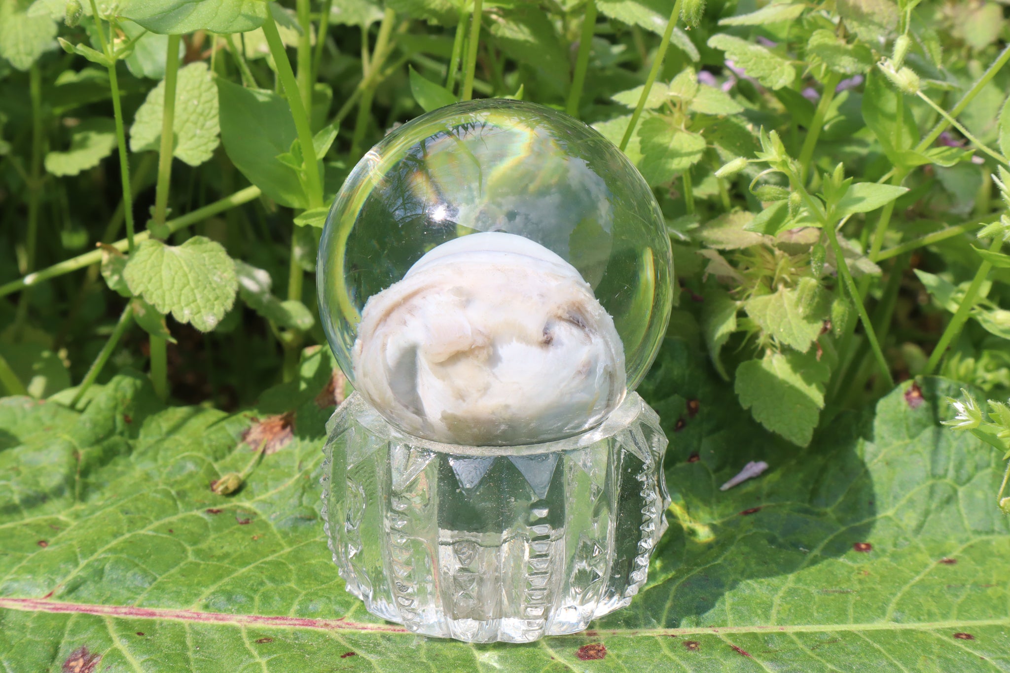 Bobcat Eyeball Crystal Ball