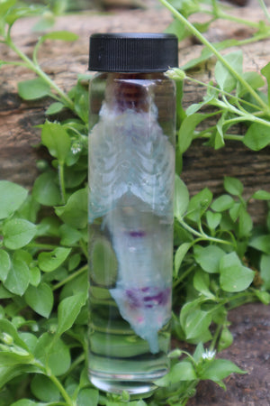 Diaphonized Baby Rabbit Spinal Column and Ribcage