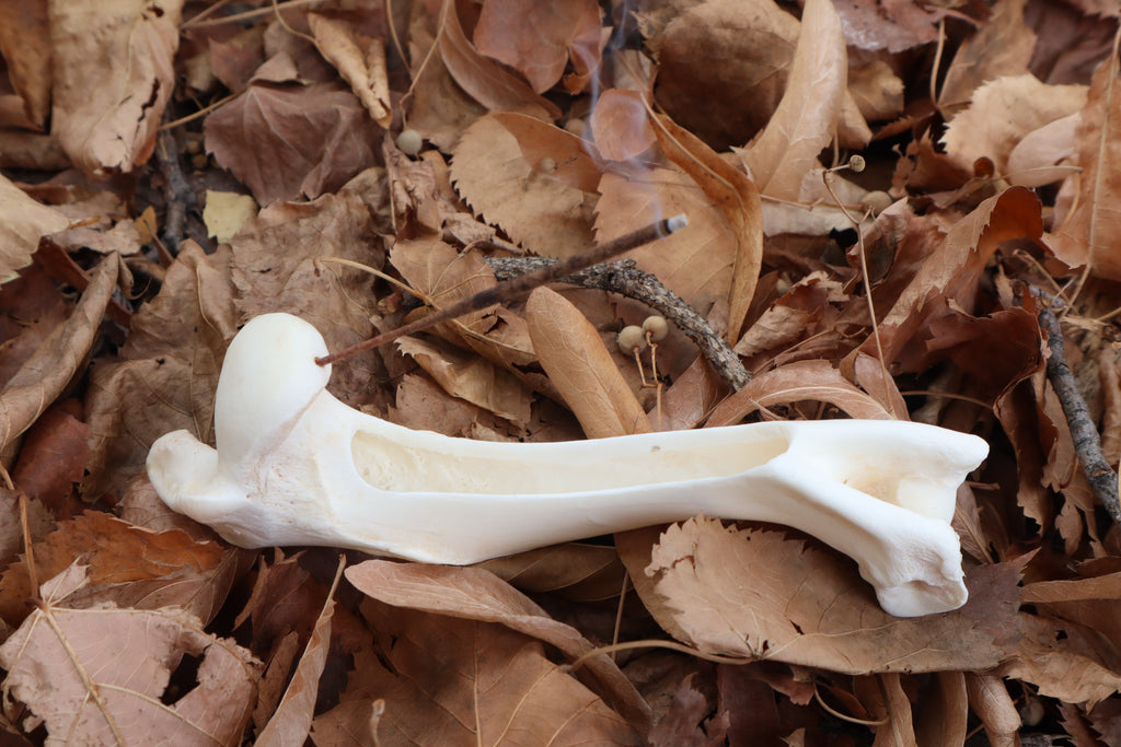 Whitetail Deer Bone Incense Burner