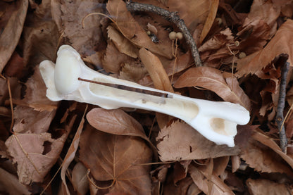 Whitetail Deer Bone Incense Burner
