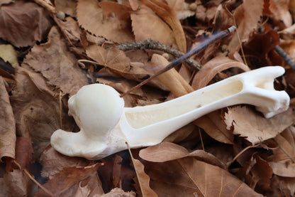 Whitetail Deer Bone Incense Burner