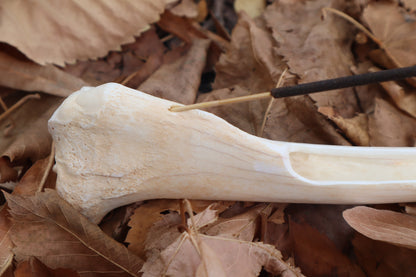 Reserved for Kelsey - Whitetail Deer Bone Incense Burner