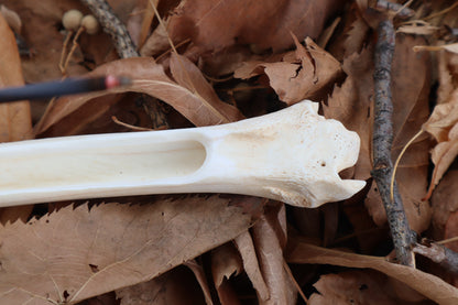 Reserved for Kelsey - Whitetail Deer Bone Incense Burner