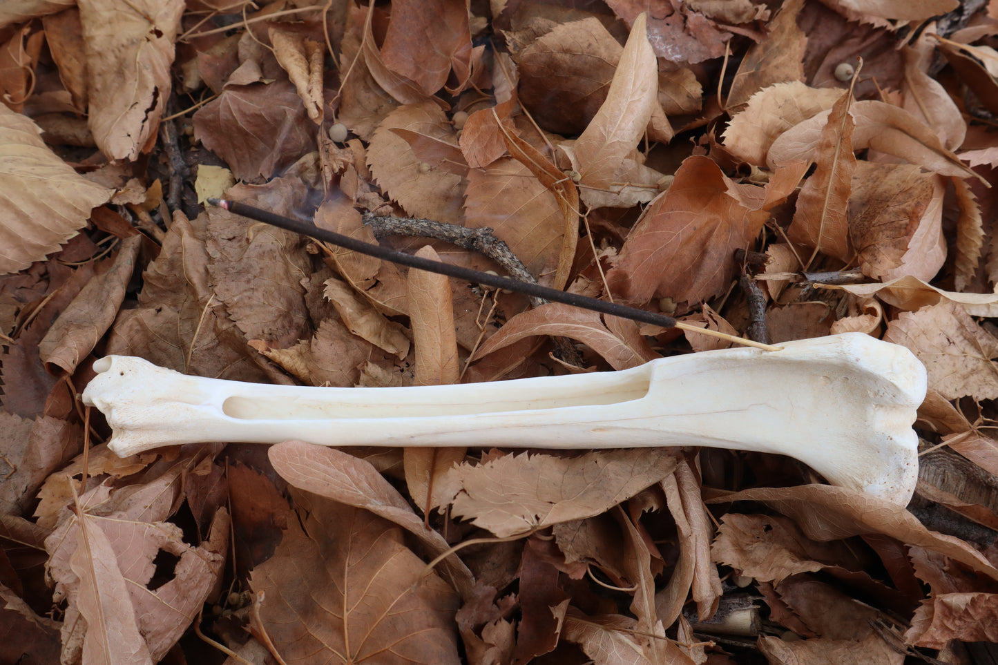 Reserved for Kelsey - Whitetail Deer Bone Incense Burner