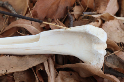 Reserved for Kelsey - Whitetail Deer Bone Incense Burner