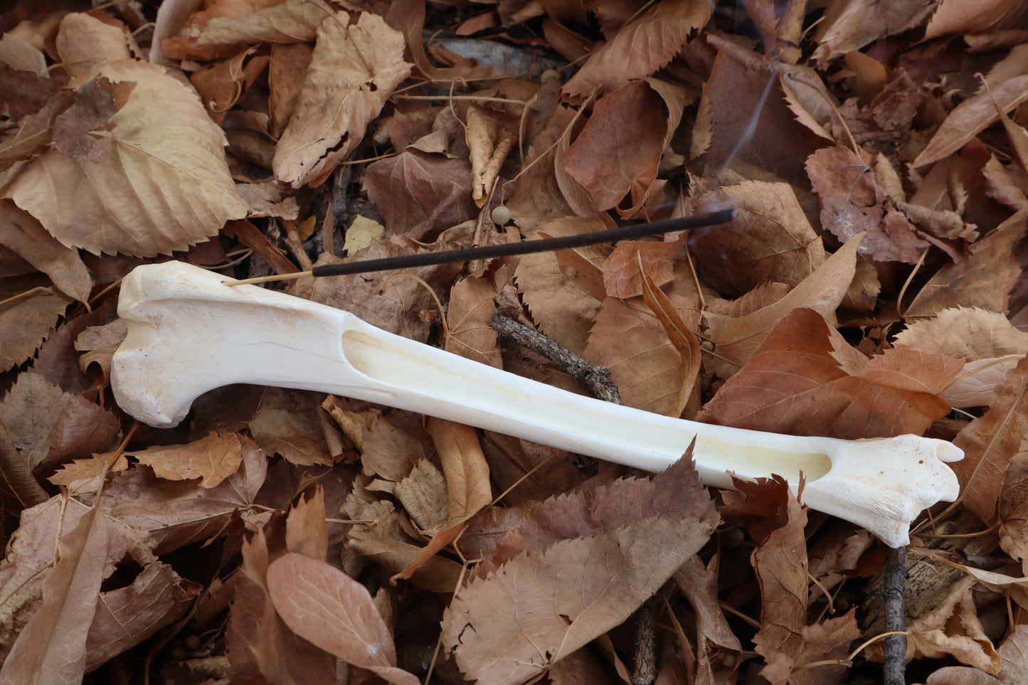 Whitetail Deer Bone Incense Burner