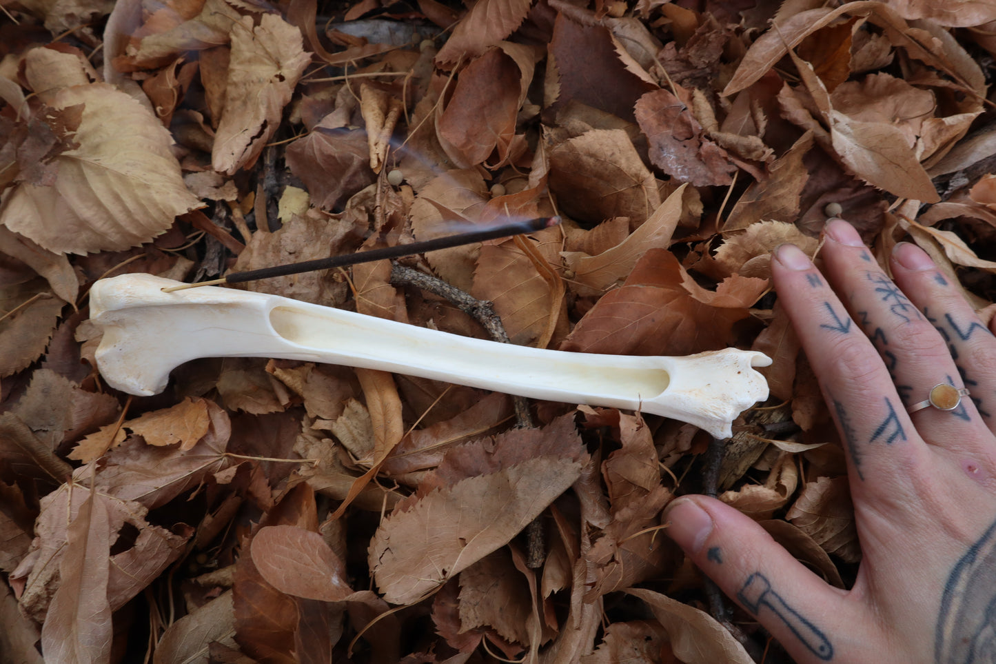 Whitetail Deer Bone Incense Burner