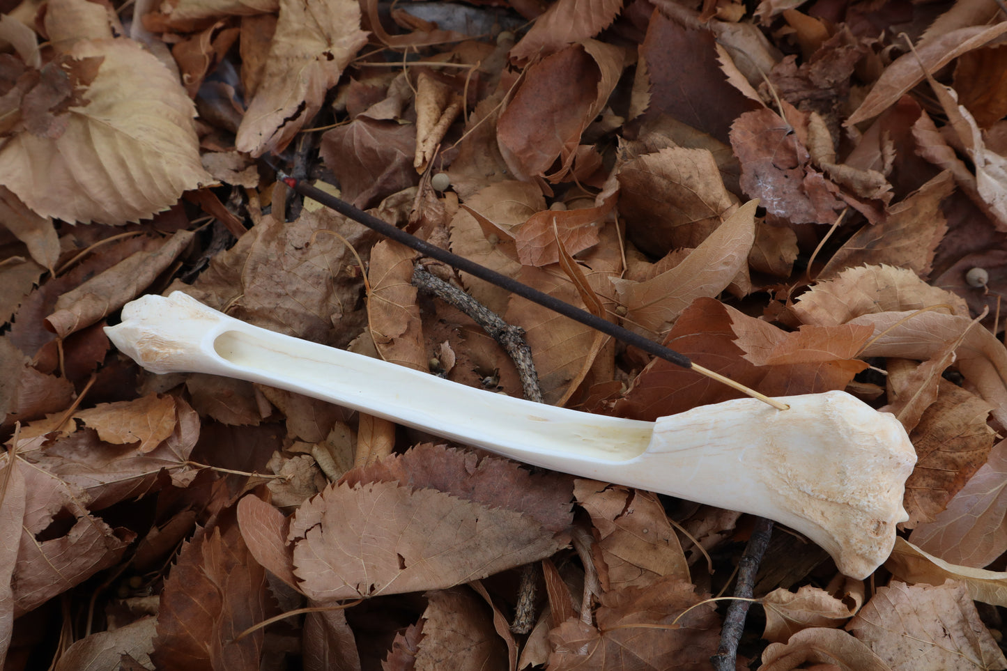 Whitetail Deer Bone Incense Burner