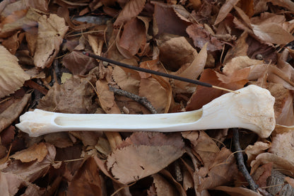 Whitetail Deer Bone Incense Burner