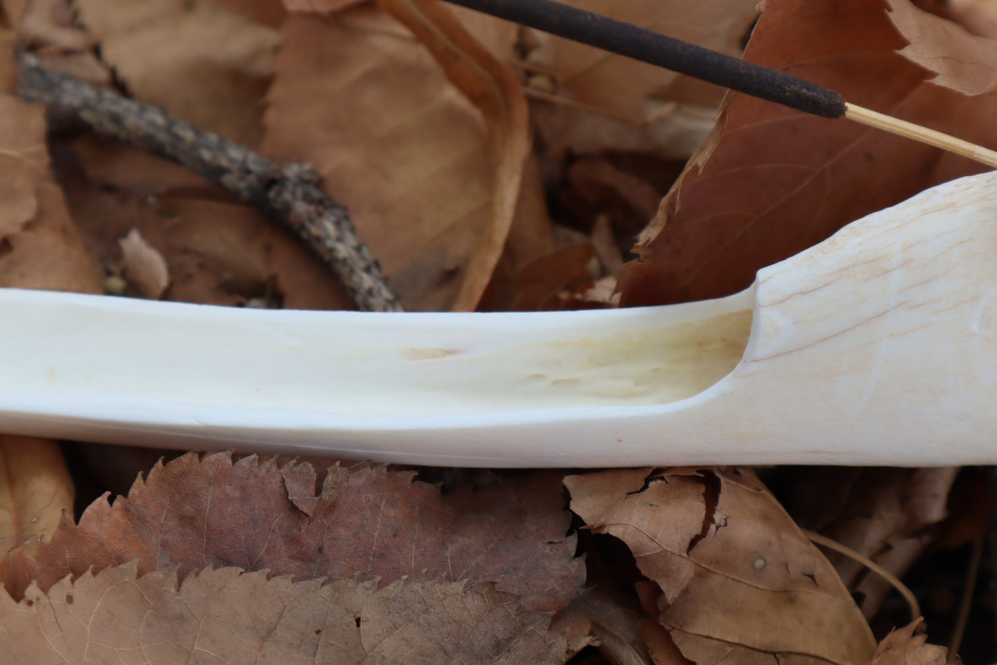 Whitetail Deer Bone Incense Burner