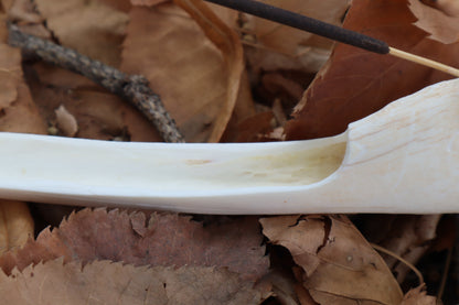 Whitetail Deer Bone Incense Burner