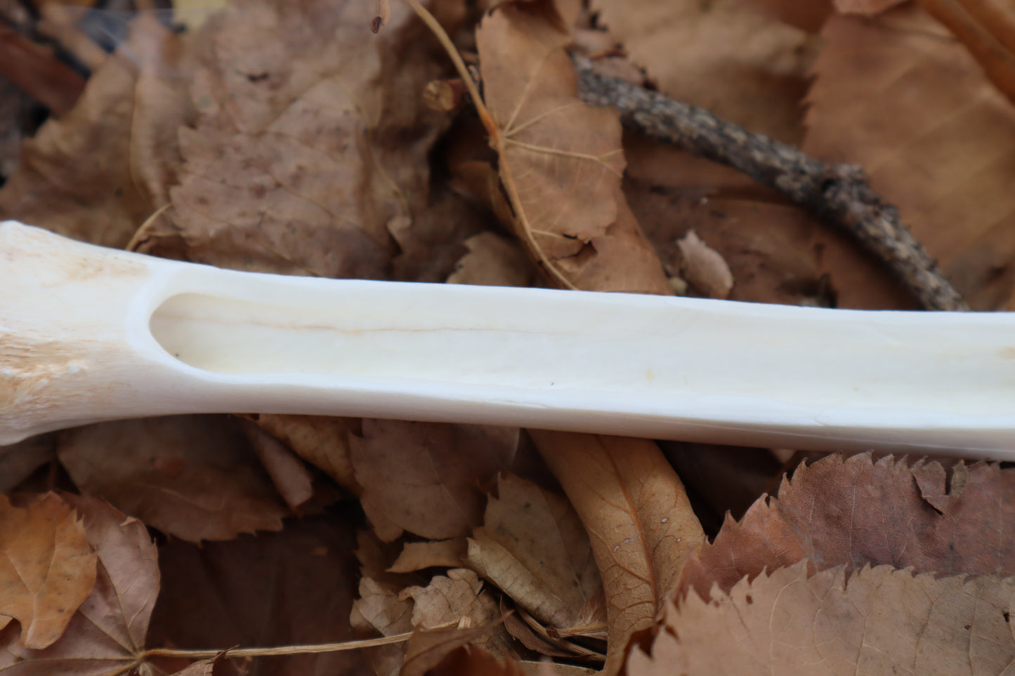 Whitetail Deer Bone Incense Burner