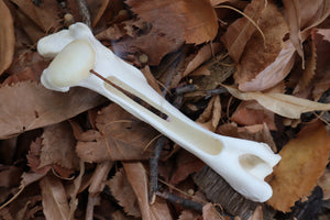Whitetail Deer Bone Incense Burner