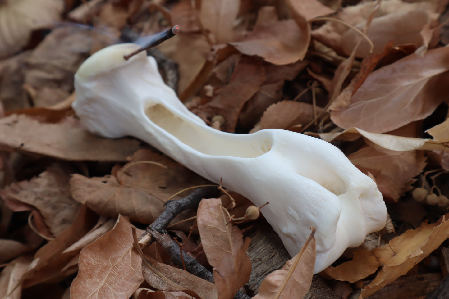 Whitetail Deer Bone Incense Burner