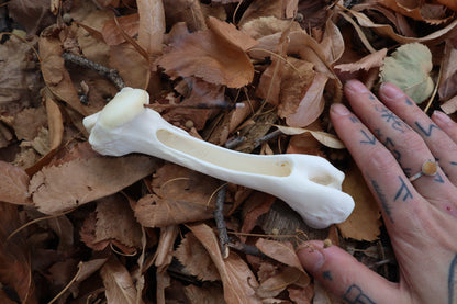 Whitetail Deer Bone Incense Burner