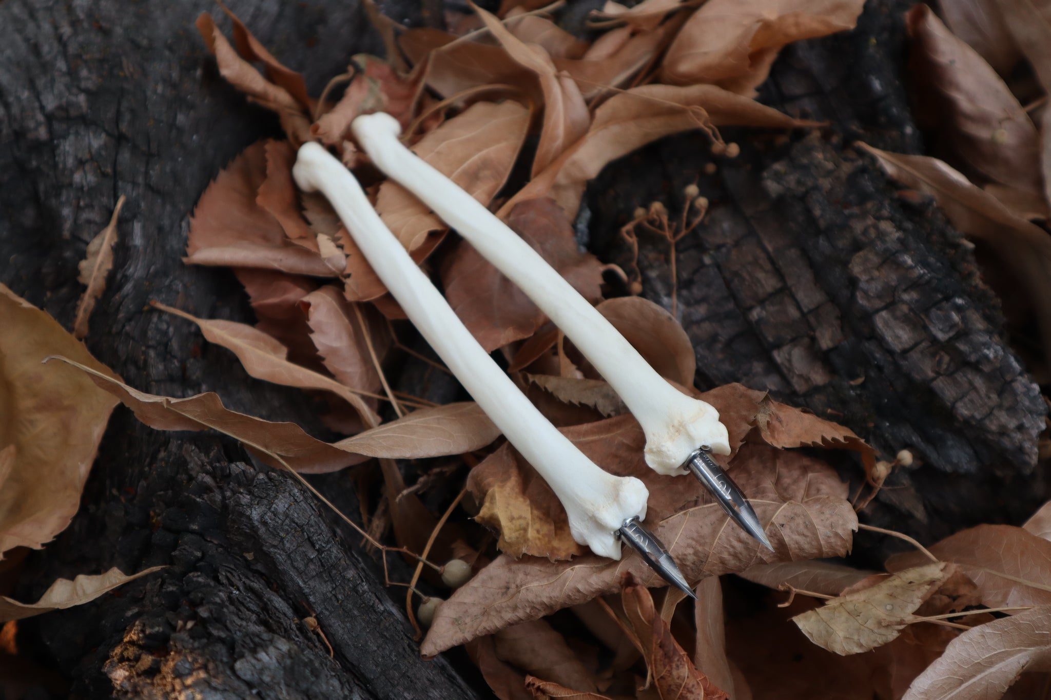 Bobcat Bone Calligraphy Pen