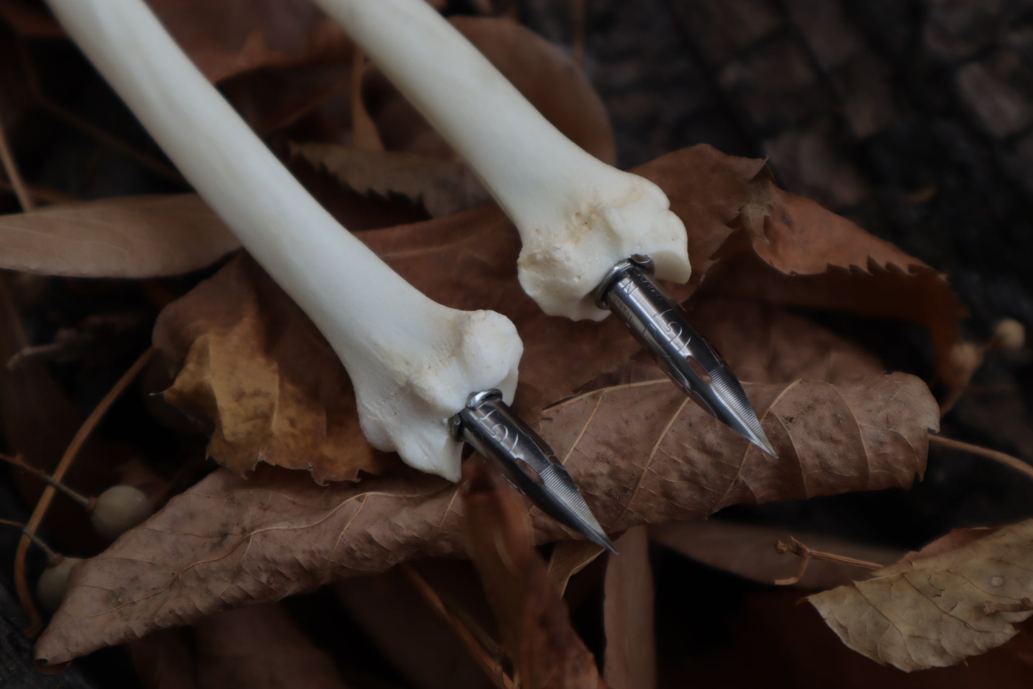 Bobcat Bone Calligraphy Pen