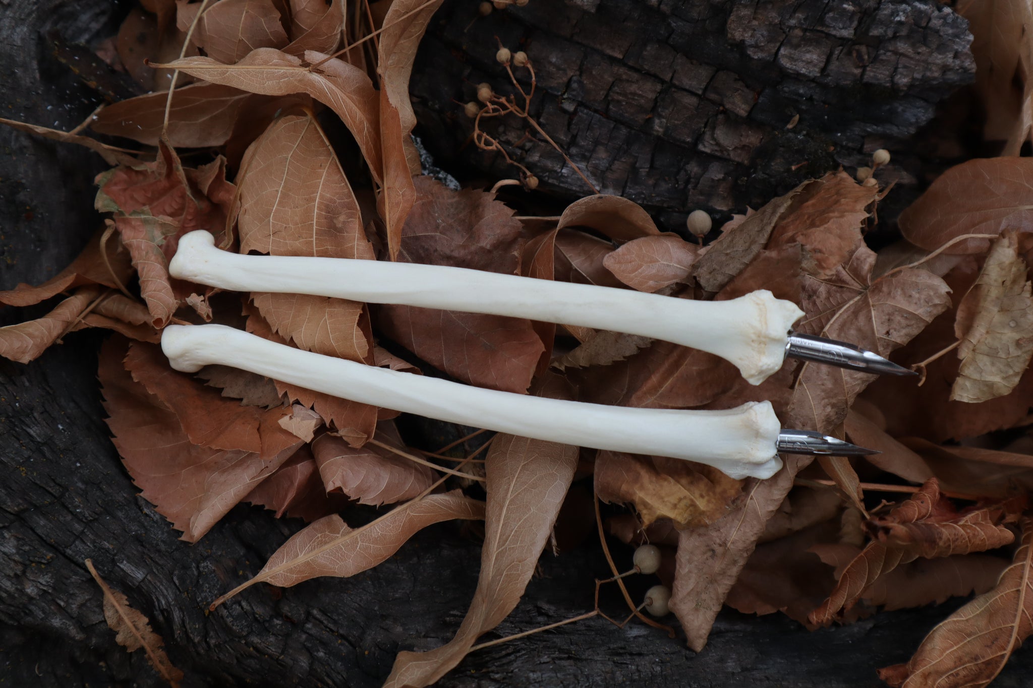 Bobcat Bone Calligraphy Pen