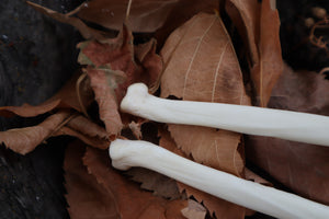 Bobcat Bone Calligraphy Pen