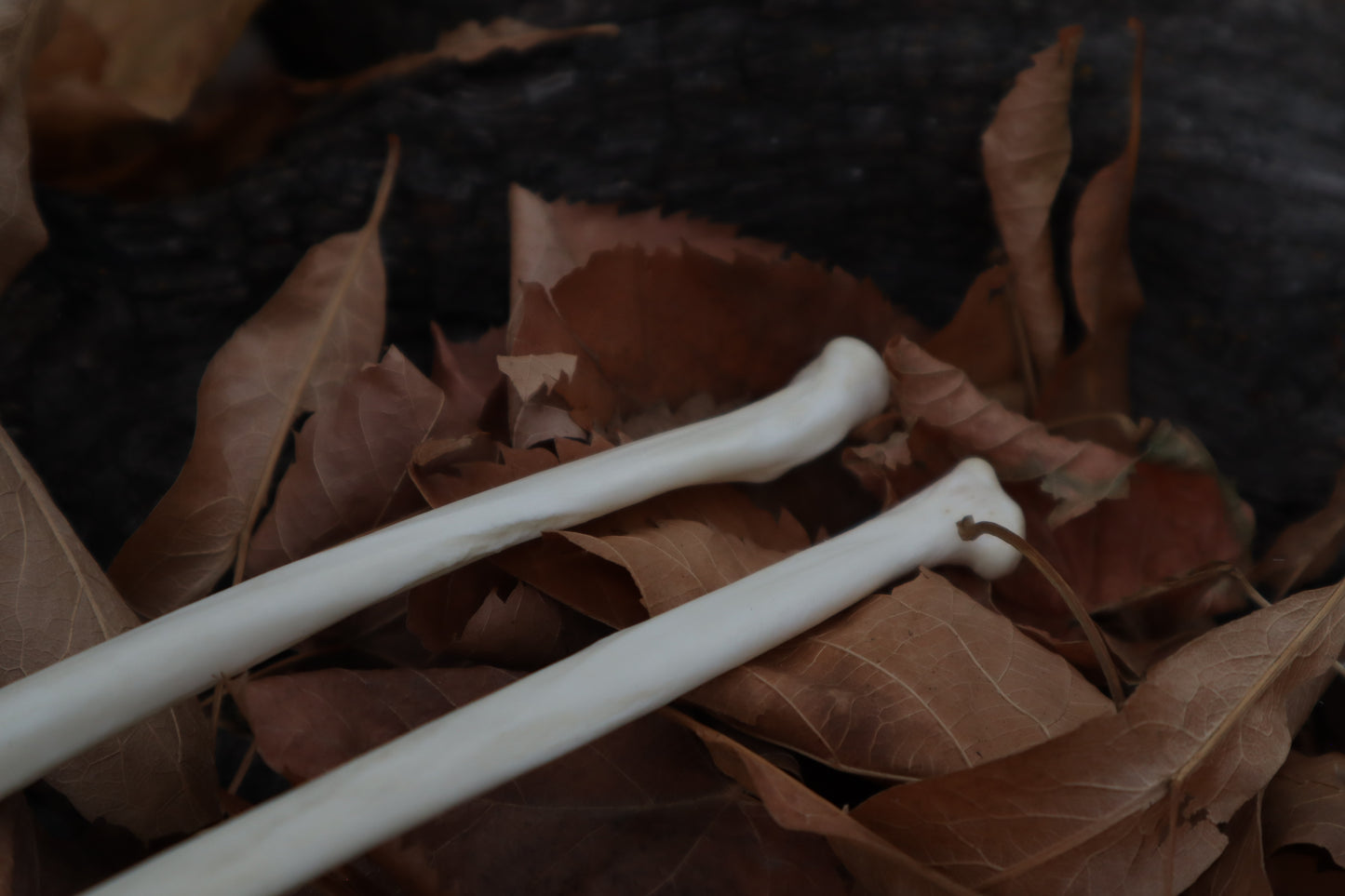 Bobcat Bone Calligraphy Pen