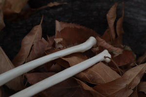 Bobcat Bone Calligraphy Pen