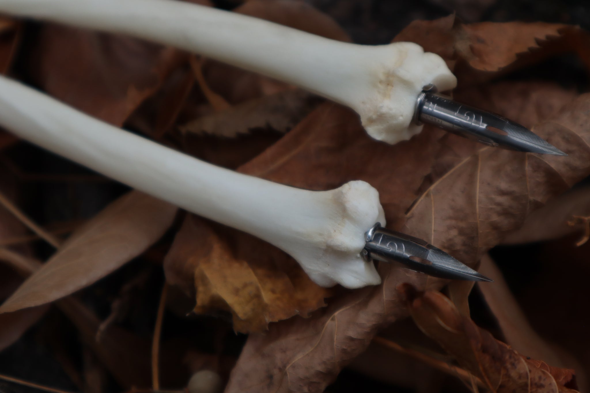Bobcat Bone Calligraphy Pen