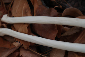 Bobcat Bone Calligraphy Pen