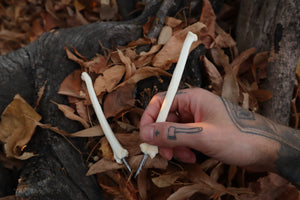 Bobcat Bone Calligraphy Pen