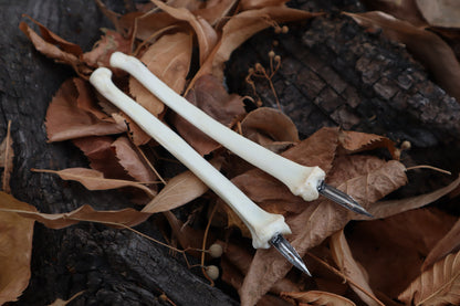 Bobcat Bone Calligraphy Pen