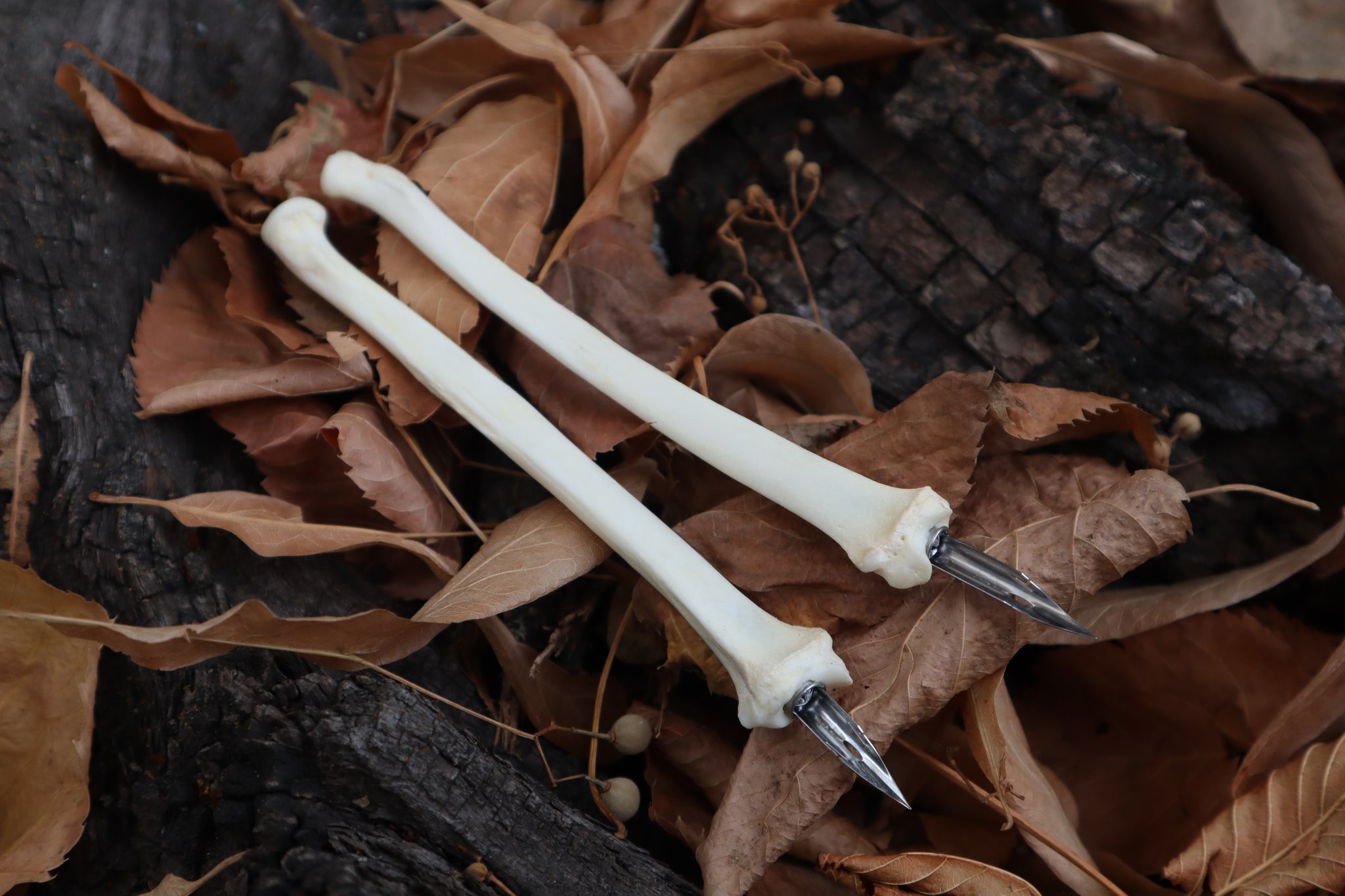 Bobcat Bone Calligraphy Pen