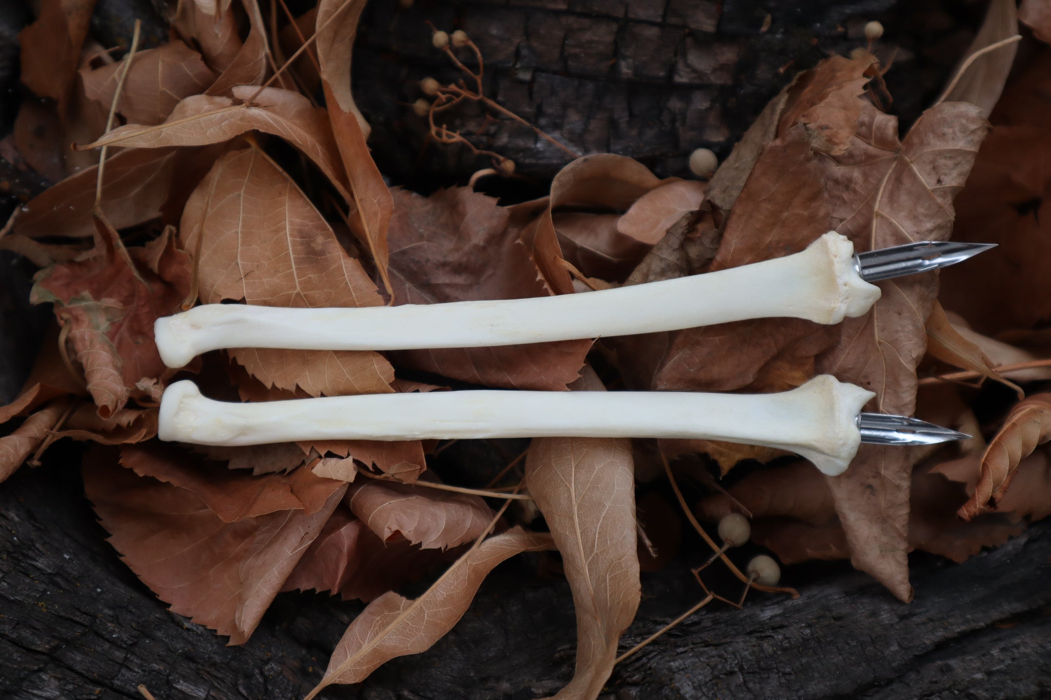 Bobcat Bone Calligraphy Pen