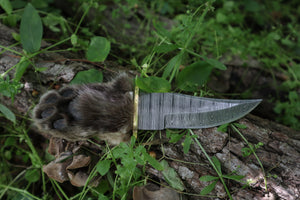 Damascus Bobcat Paw Knife