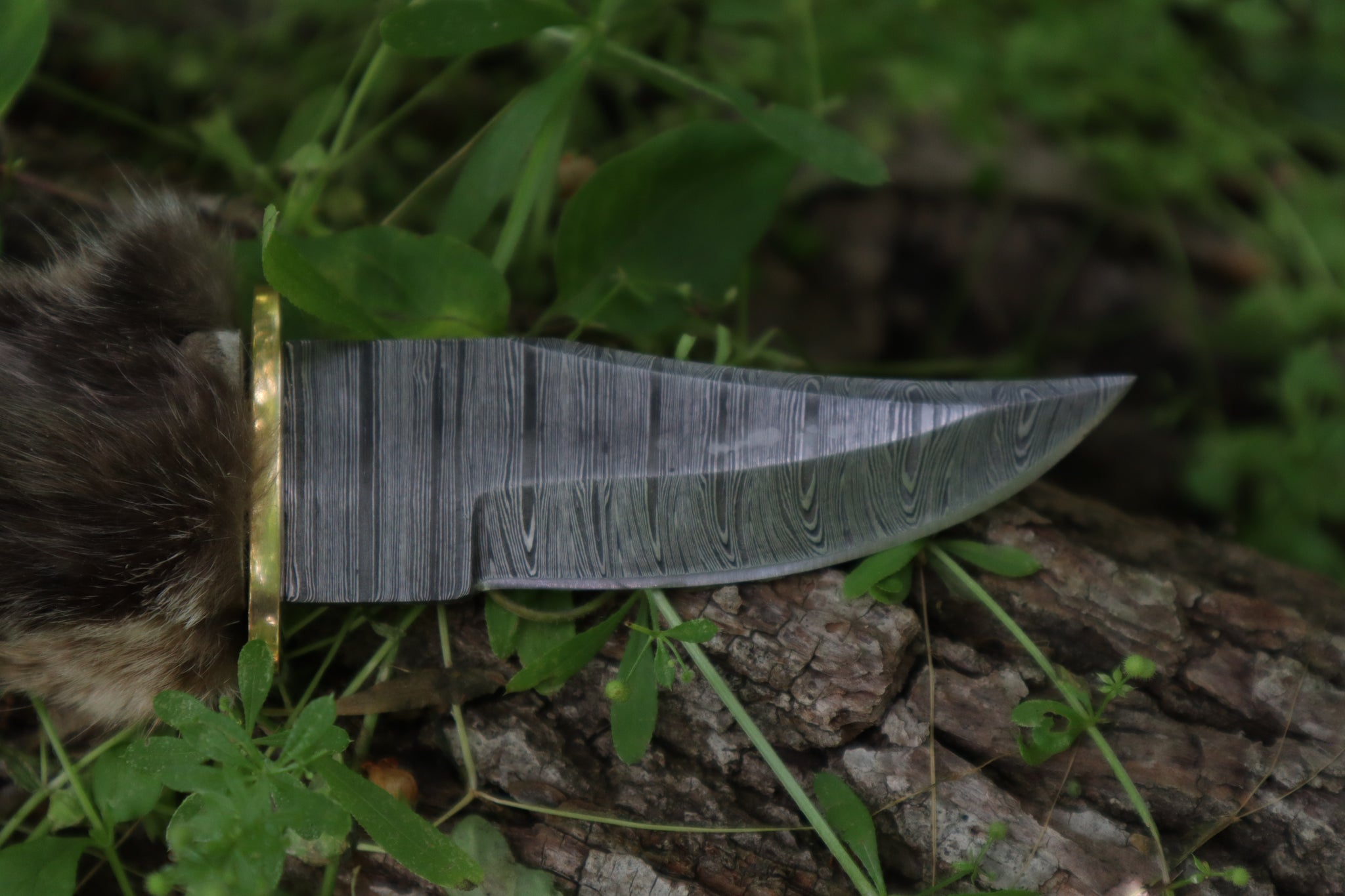 Damascus Bobcat Paw Knife