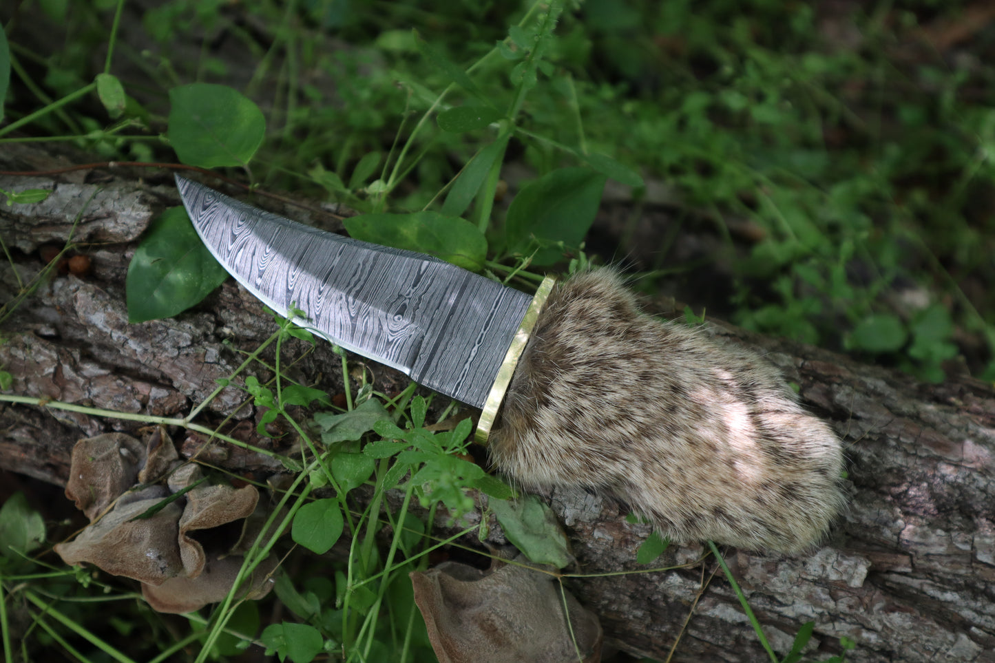 Damascus Bobcat Paw Knife