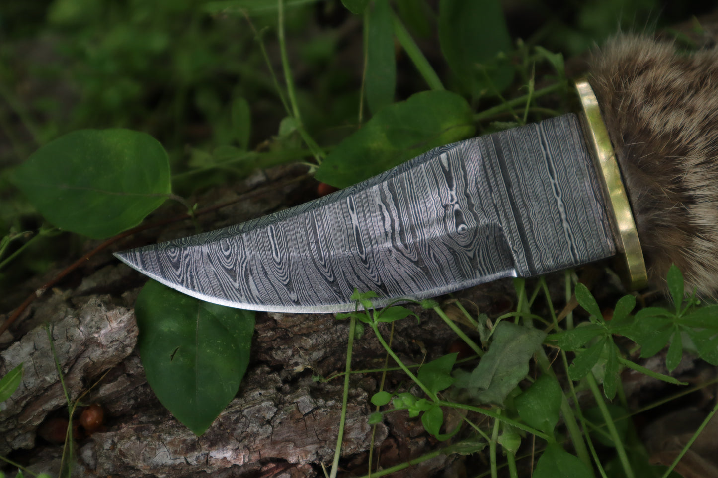 Damascus Bobcat Paw Knife