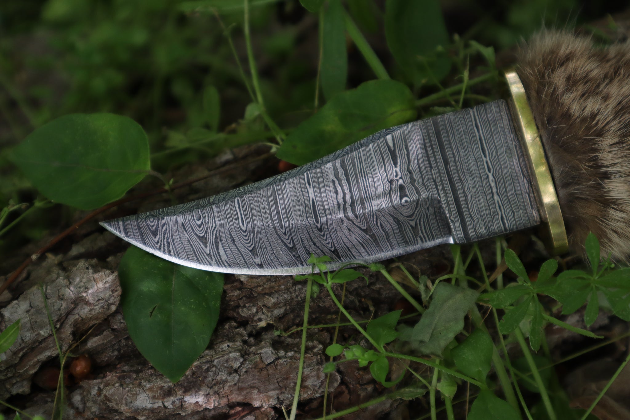 Damascus Bobcat Paw Knife